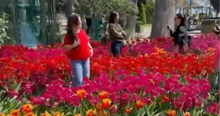 Bulvarda gülləri əzənlər polisə çağırılıb