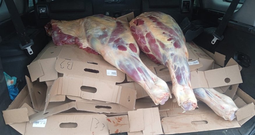 İstehlaka yararsız 227 kq at əti aşkarlanıb