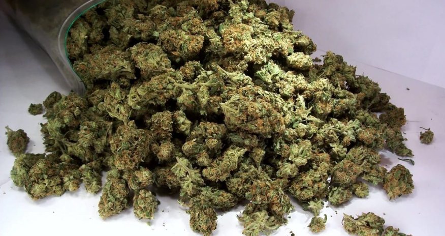 Şirvanda keçmiş məhkumda 8 kiloqrama yaxın marixuana aşkarlanıb