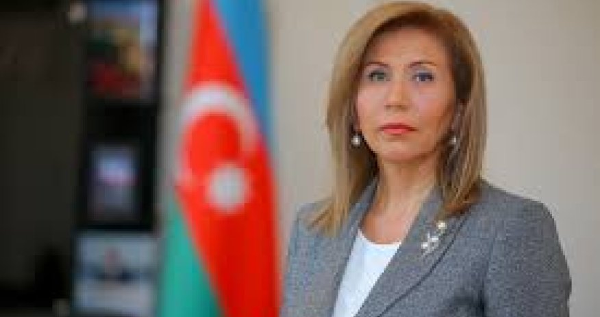 Azerbaijan official calls for stronger legal framework to support women&rsquo;s rights