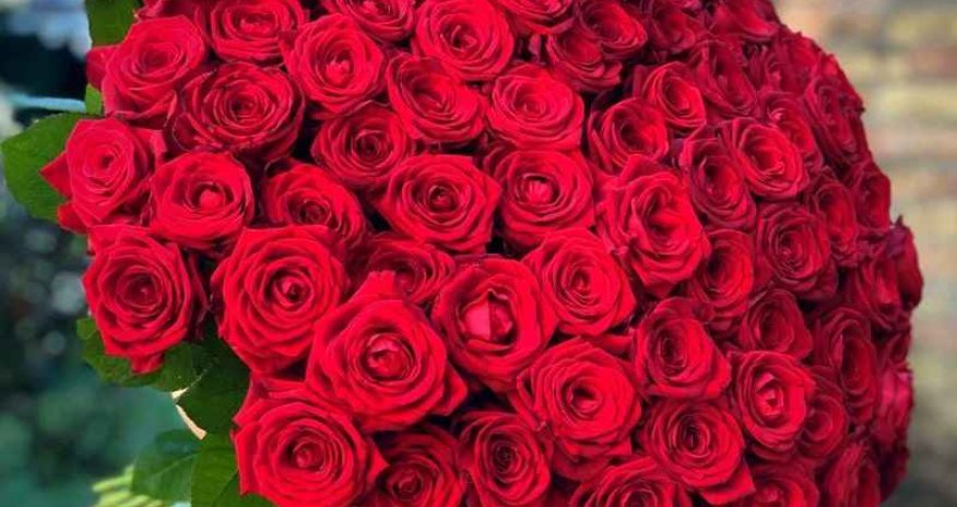 Rose imports from Netherlands recorded as Armenia in trade data &mdash; customs