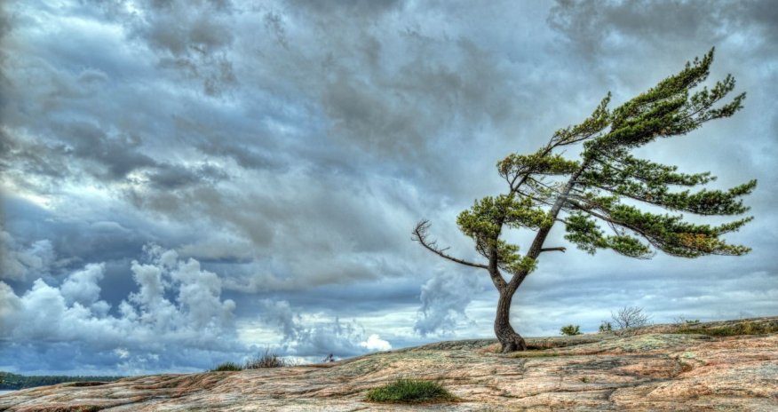 Azerbaijan weather service issues yellow, orange wind alerts