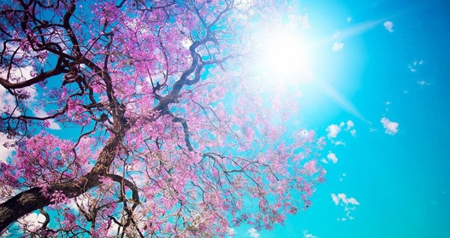 Sabahın hava proqnozu