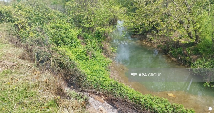 Lənkəranda torpaq sürüşməsi olub