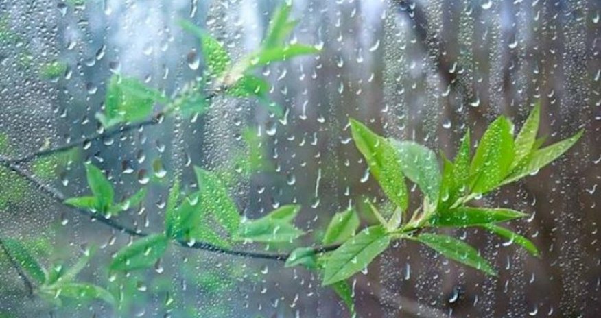 Bakıda və Abşeron yarımadasında yağış yağacaq, şimşək çaxacaq - PROQNOZ