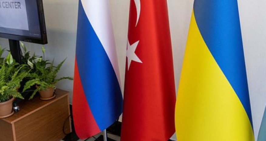 Турция пытается навести мосты между Россией и Украиной