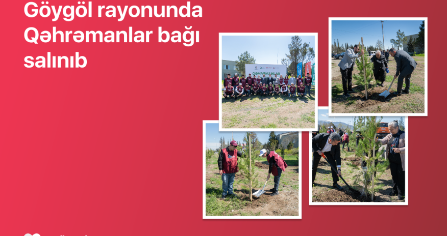 
В Гёйгёле реализована акция &laquo;Qəhrəmanlar bağı&raquo;