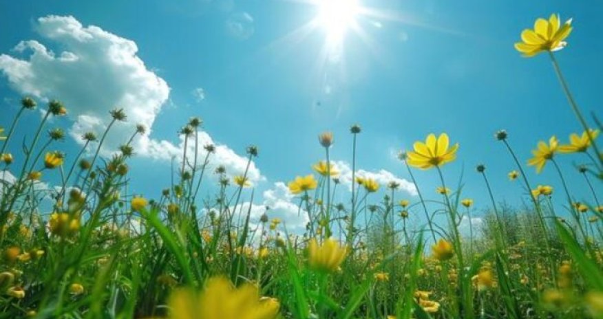 Завтра в Азербайджане ожидается до 24 градусов тепла