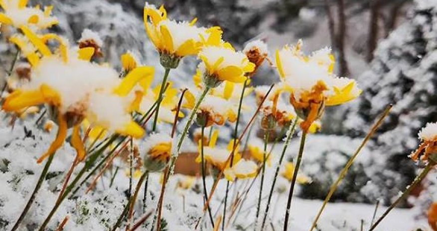 Faktiki hava açıqlanıb