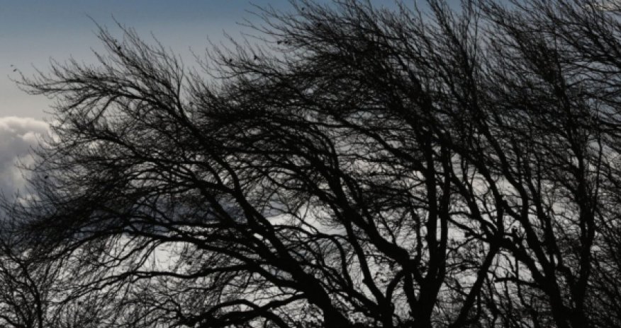 Синоптики прогнозируют сильный ветер