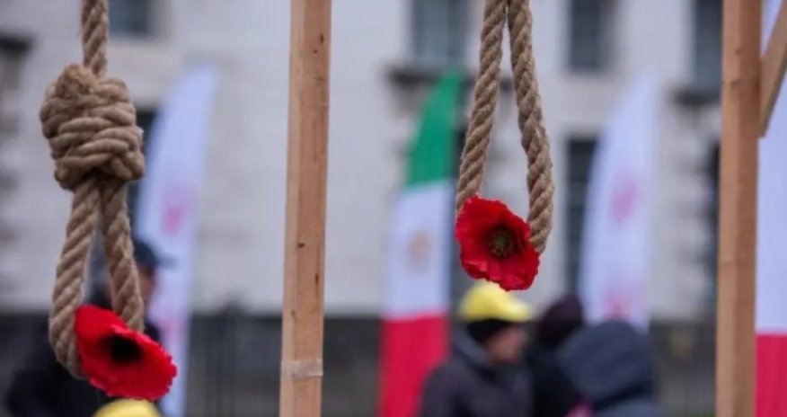 Правозащитники сообщили о более чем 600 казнях в Иране с начала года