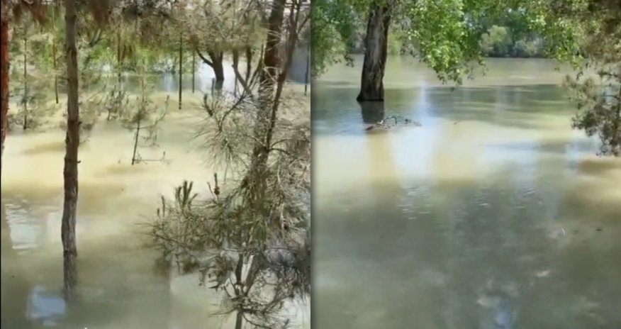 Kür çayında su səviyyəsi enir, bəzi ərazilərdə subasma qeydə alınıb