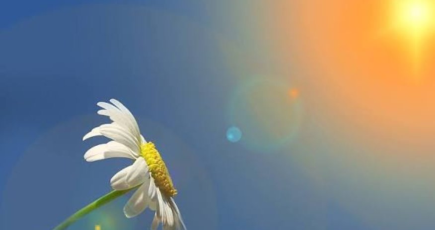 Apreldə Bakı və Abşeronda temperatur 21 gün normadan yuxarı olub - RƏSMİ