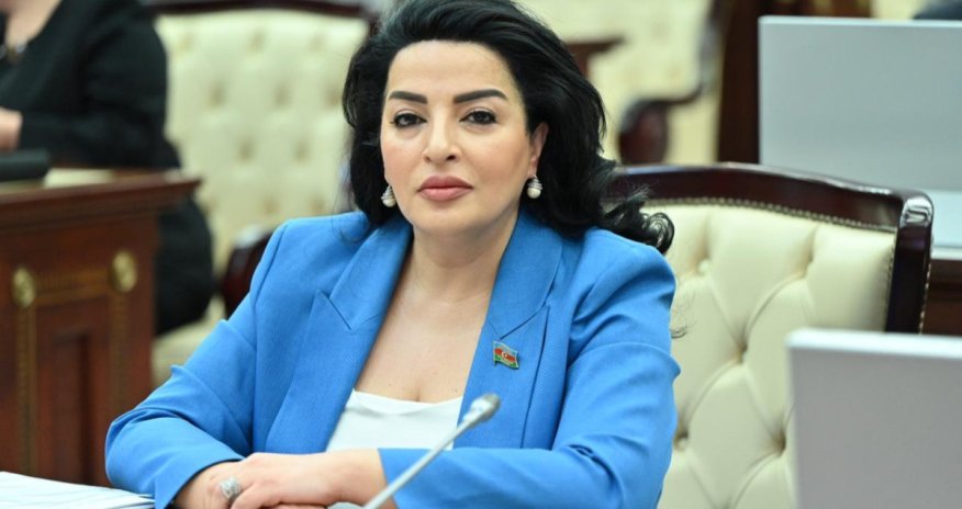 Fatma Yıldırım: Yaşıllıqlarla bağlı dəyişikliklər fermerlərin fəaliyyətini asanlaşdıracaq
