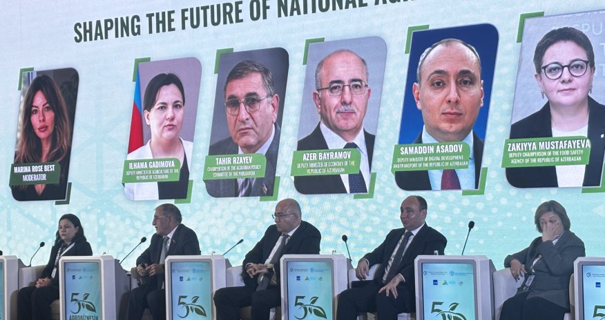 Deputat: Sahibkarlar məsuliyyəti dövlətə yükləyir