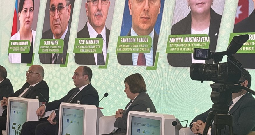 Ötən il 914 min ton bitkiçilik məhsulu xarici bazarlara çıxarılıb