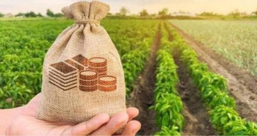 Aqrar kreditlər 2,1 milyard manata yüksəlib