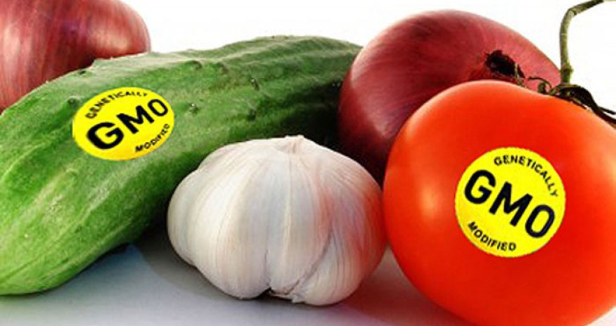 GMO məhsulların sığortalanması adi əkinlərlə eyni prinsiplərə əsaslanır - FAO rəsmisi