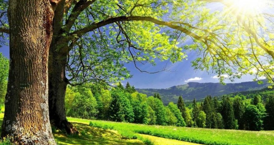 Sabahın hava proqnozu açıqlanıb