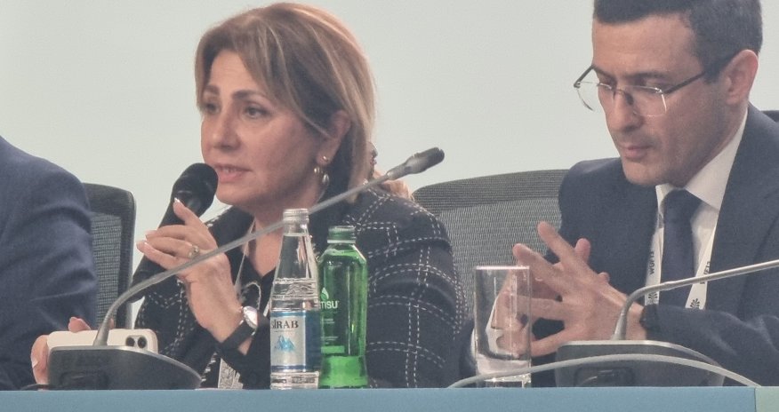 Gülşən Rzayeva: Azərbaycan post-münaqişə ölkələri üçün şəhərsalma modeli formalaşdırır