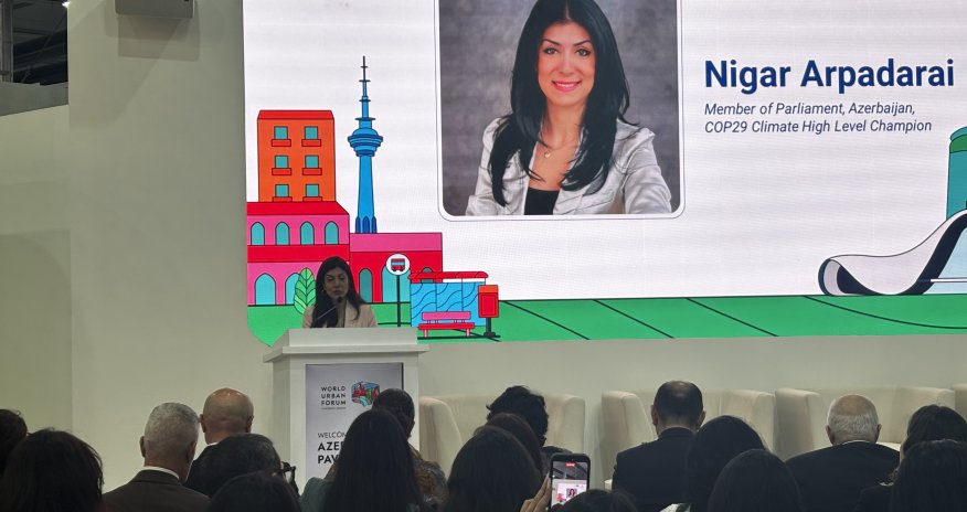 
Nigar Arpadarai: Plastik böhranı yeni yanaşmalar və əməkdaşlıq tələb edir