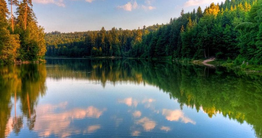 Azərbaycanda yeni milli parklar yaradılacaq