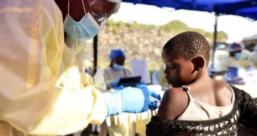 Nigeriyada "Ebola" virusu ilə bağlı təhlükə artır