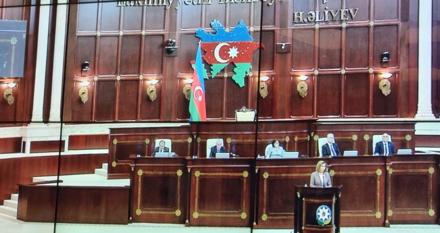 Bahar Muradova qadın siyasəti üzrə əsas prioritetləri açıqlayıb