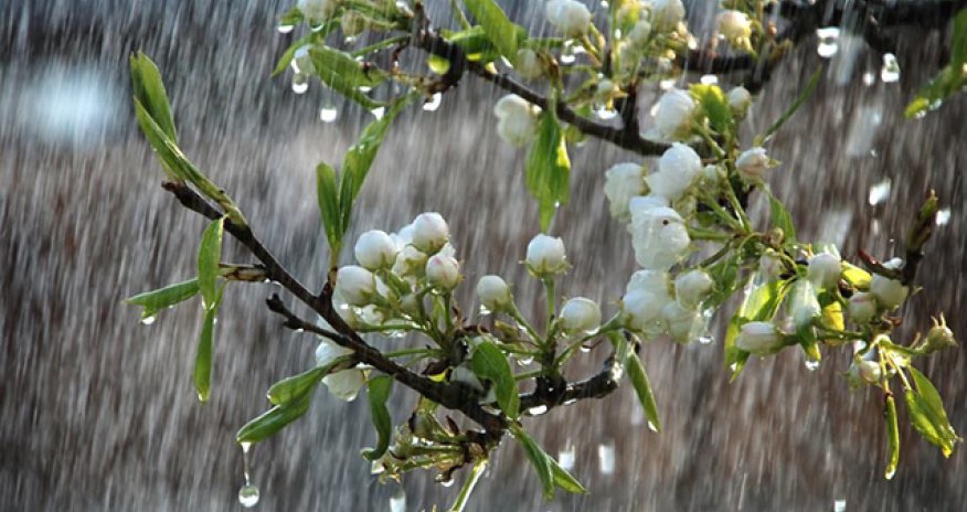 Hava ilə bağlı xəbərdarlıq