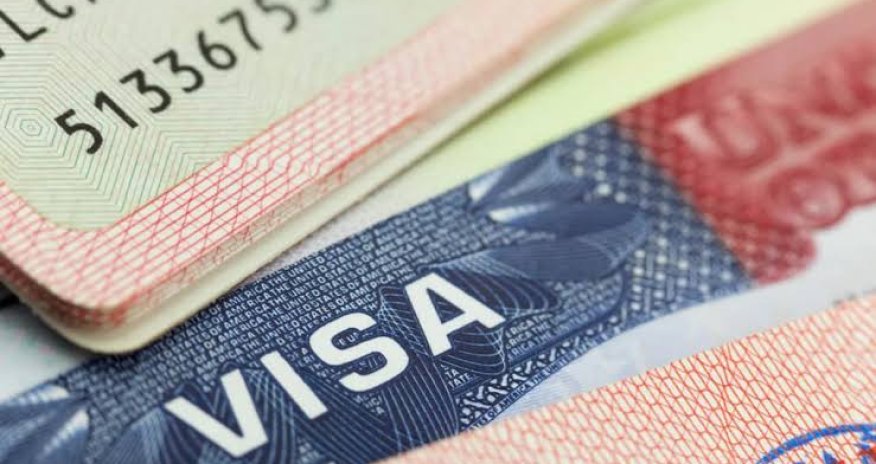 США ввели визовые ограничения в отношении более 100 должностных лиц Никарагуа