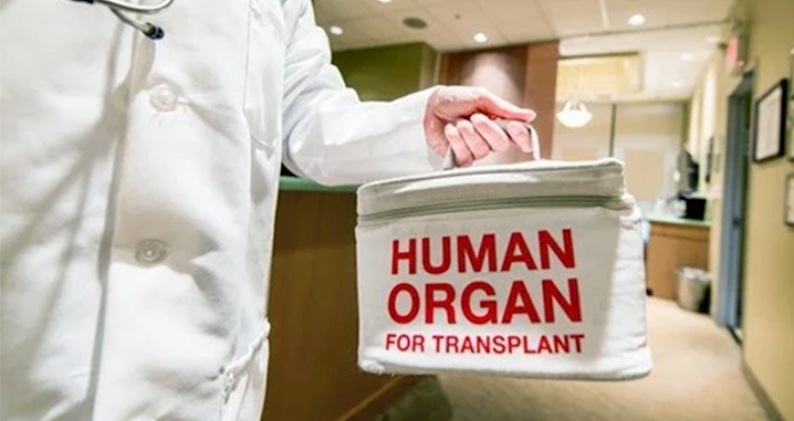 Kök hüceyrələrin transplantasiyasının say həddi 20-dən 50-yə qaldırılıb - qərar