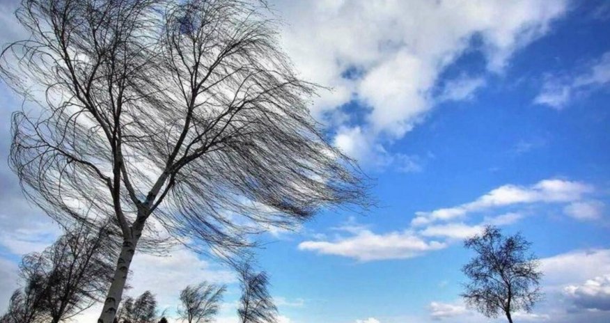 Küləkli hava ilə bağlı sarı xəbərdarlıq edilib