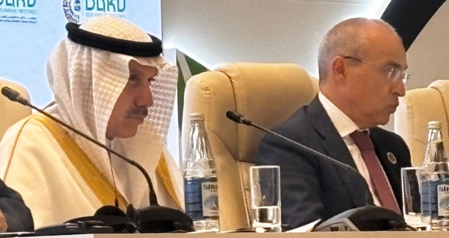 Azerbaijan assessing use of Islamic finance instruments, minister says