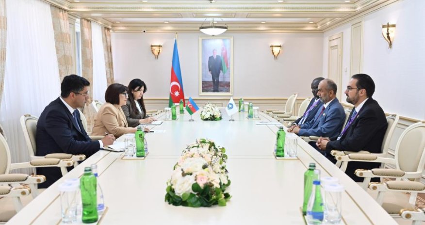 Sahibə Qafarova Qlobal Tolerantlıq və Sülh Şurasının sədri ilə görüşüb