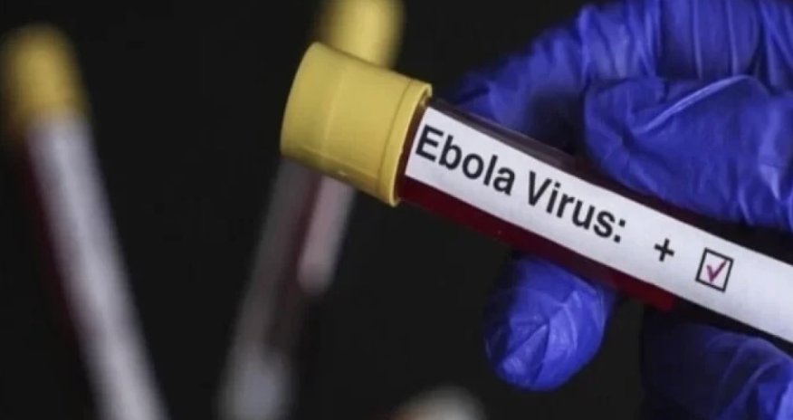 WHO identifies countries at risk of Ebola spread