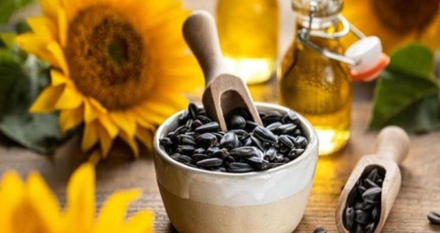 Oil World forecasts largest sunflower crop in five years