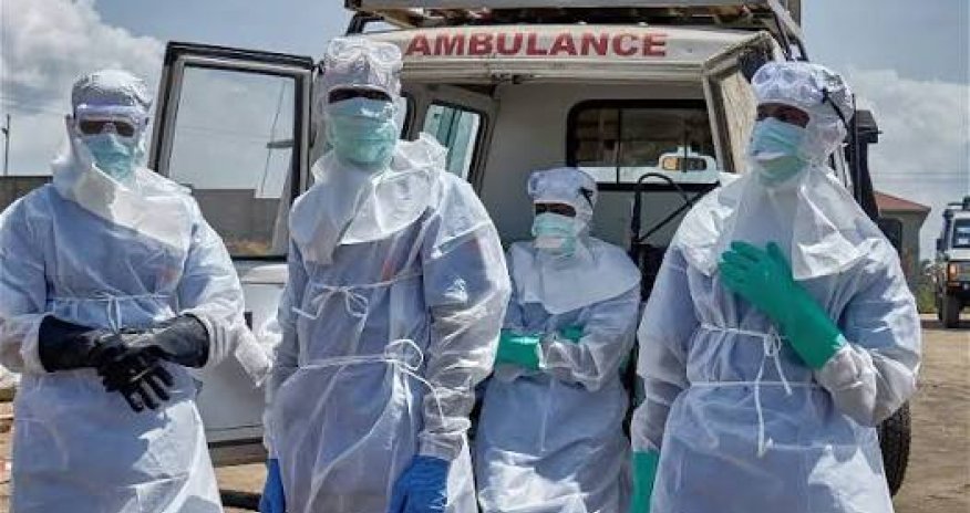 Число жертв вспышки Эболы в ДР Конго превысило 300