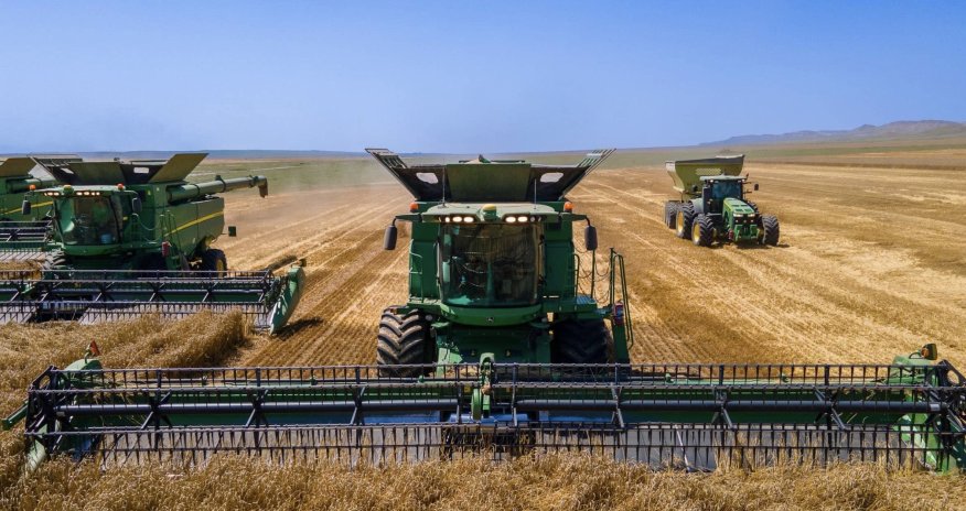 Azerbaijan sets wheat procurement price for 2026