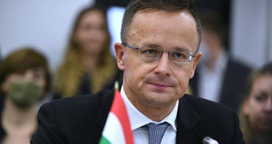 Экс-глава МИД Венгрии отказался от депутатства ради работы в китайском автогиганте