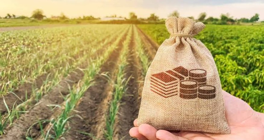 Azərbaycanda kənd təsərrüfatı istehsalı ilk yarımildə 2,2% artıb