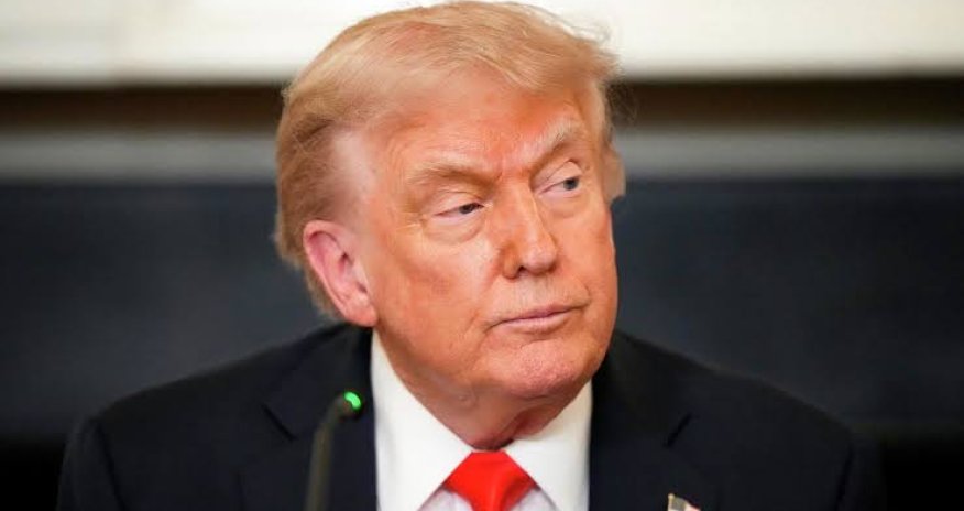 Трамп не исключил новые пошлины на импорт из Канады из-за лесных пожаров