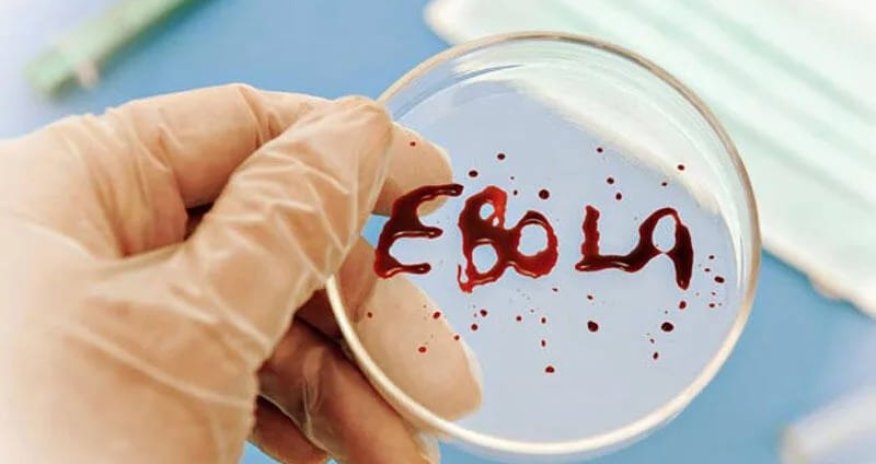 Ebola qurbanlarının sayı 1 354-ə çatdı