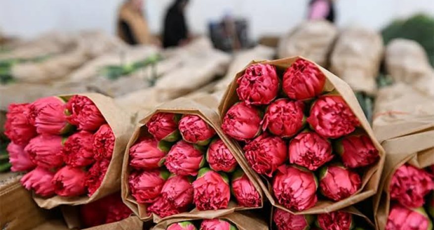 Россельхознадзор пресек попытку ввоза армянских роз через Беларусь