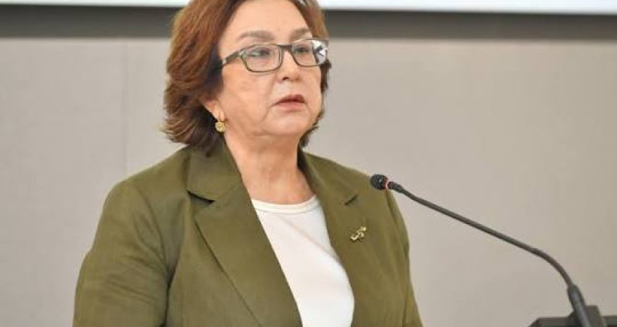 Magistraturaya qəbul olunanlar avqustun 3-dən qeydiyyatdan keçə biləcəklər &ndash; DİM