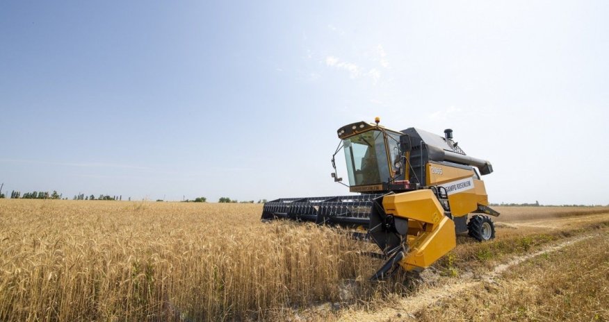 Azerbaijan harvests 93% of grain fields, securing over 3.1 million metric tons of crops