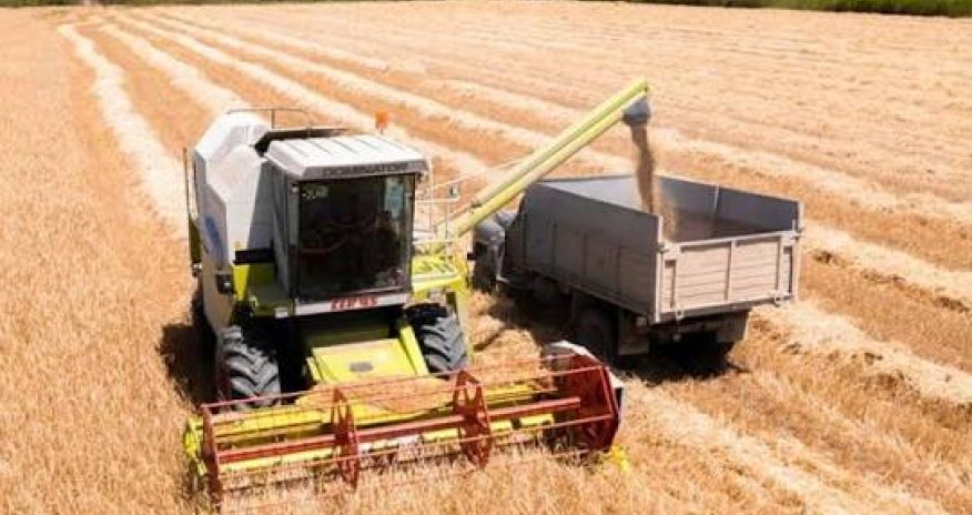 Azərbaycanda taxıl yığımında 6,2% artım olub
