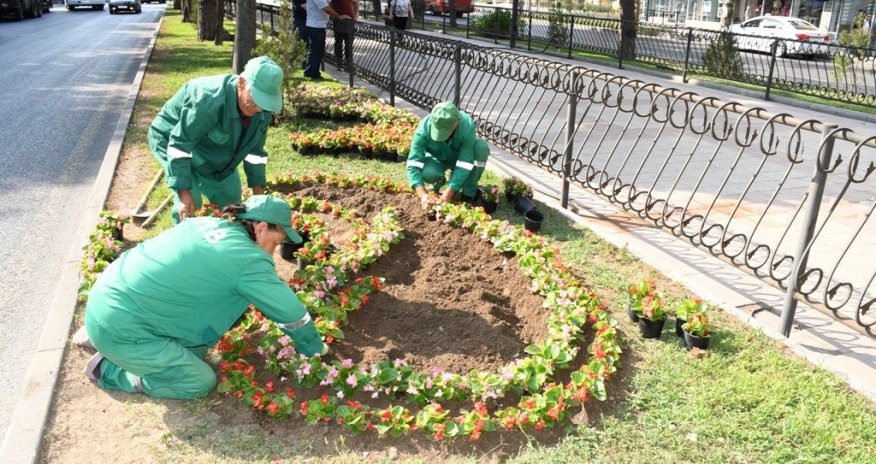 Bakıda genişmiqyaslı iməclik keçirilib