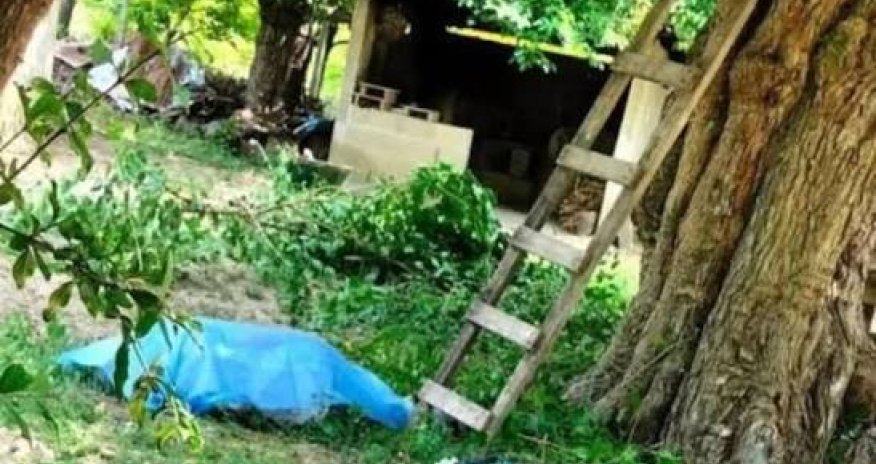Əncir yığmaq üçün ağaca dırmaşan kişi yıxılaraq ölüb