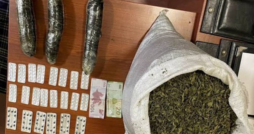 Lənkəranda narkotik tərkibli bitkilər yetişdirən şəxslər həbs edilib