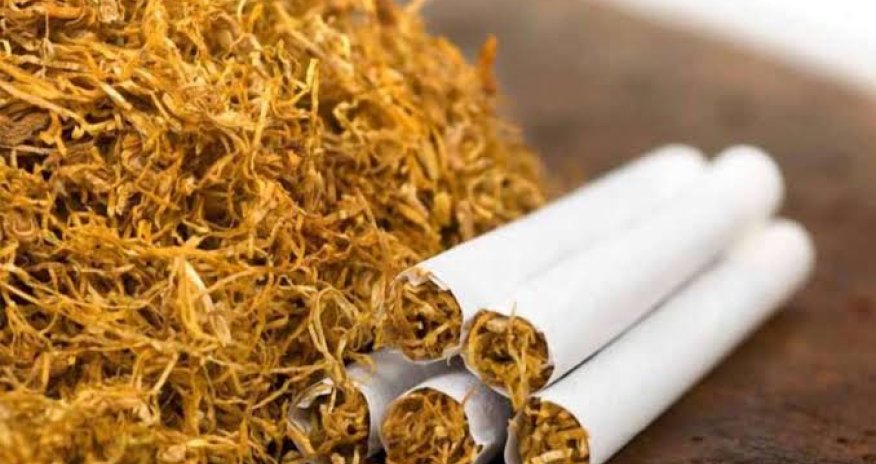 Tütün məmulatlarının istehsalı 19%-ə yaxın artıb - rəsmi